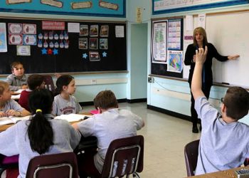 Grade School Teacher Career Data