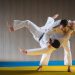 Why You Should Consider Going to Martial Arts Lessons