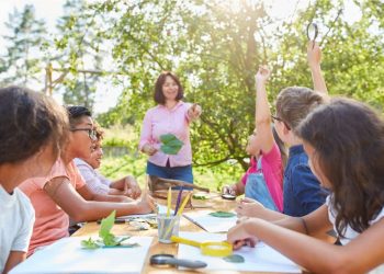 Creating a Safe and Stimulating Environment for Young Learners