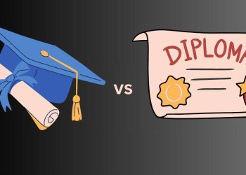 What Are Diploma Courses? A Comprehensive Introduction for Students