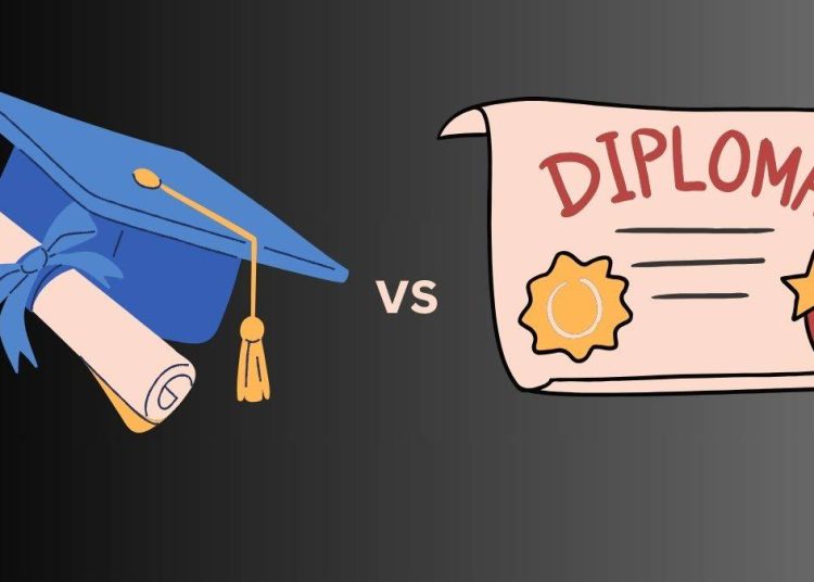 What Are Diploma Courses? A Comprehensive Introduction for Students